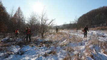 bükki nemzeti park igazgatóság, kelet-bükki tájegység, almás, területkezelés