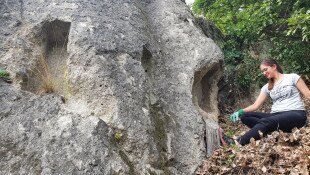 Bükki Nemzeti Park Igazgatóság, Magyar Nemzeti Parkok Hete, Kulturális Örökség Napjai, Szomolyai Kaptárkövek, Ridegtartás, Gulya, Felnémeti pincevár, tájszépítés, természetvédelem