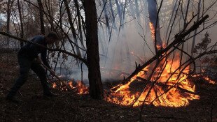 bükki nemzeti park igazgatóság, tűzgyújtási tilalom