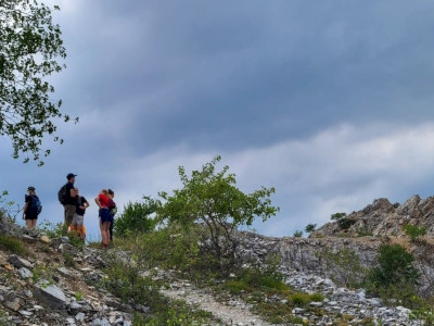 WhatsApp Image 2023-08-06 at 17.50.54