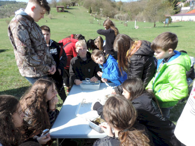                                                                                                                                 