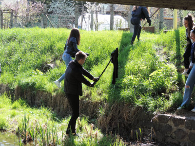                                                                                                                                 