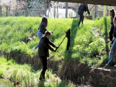                                                                                                                                 