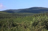 Gyöngyös - Mátrafüred - Sás-tói Cincér tanösvény