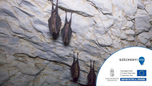 Cseppkövek és denevérek - Barlangok megőrzése a Bükki Nemzeti Park Igazgatóság működési területén 4. ütem KEHOP-4.1.0-15-2016-00017