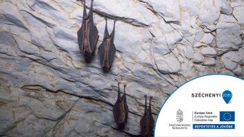 Cseppkövek és denevérek - Barlangok megőrzése a Bükki Nemzeti Park Igazgatóság működési területén 4. ütem KEHOP-4.1.0-15-2016-00017