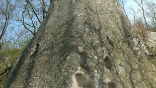 Cserépváralja - Mangó-tető