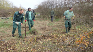 Cserjeirtás az egerszalóki temetőben – újabb esélyt kapott a sztyepplepke