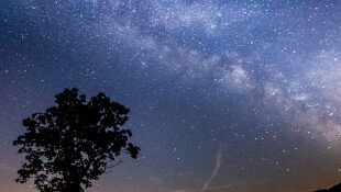 Csillagász est és hullócsillag megfigyelés