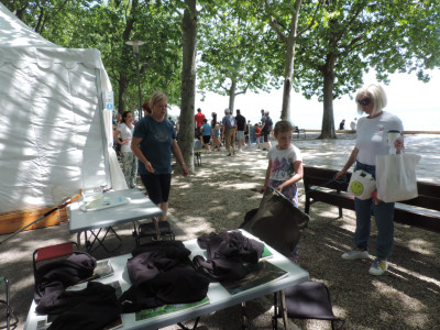                                                                                                                                 