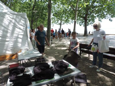                                                                                                                                 