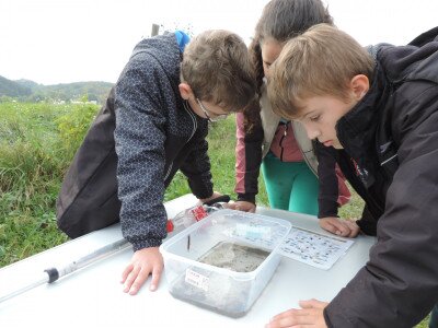                                                                                                                                 