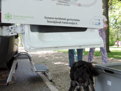                                                                                                                                 