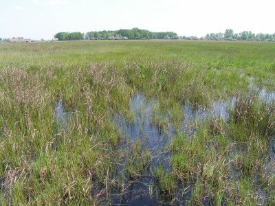                                                                                                                              