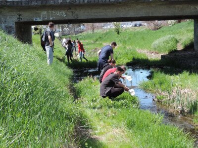                                                                                                                                 