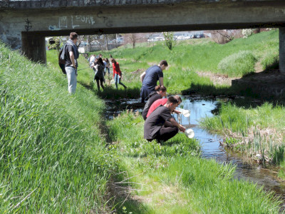                                                                                                                                 