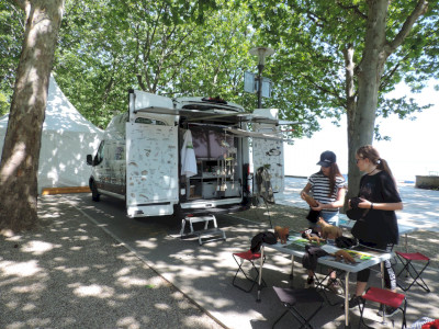                                                                                                                                 