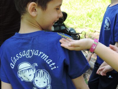                                                                                                                                 