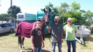 Díjeső a Batúz-tanya lovainak a XXV. Alföldi Állattenyésztési és Mezőgazdasági Napokon