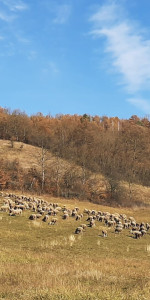 Domaháza - Répás-völgyi tanösvény