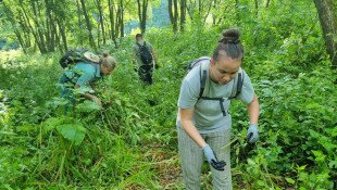 Dzsungelharc az Upponyi-szorosban - önkéntesek a természetvédelemért