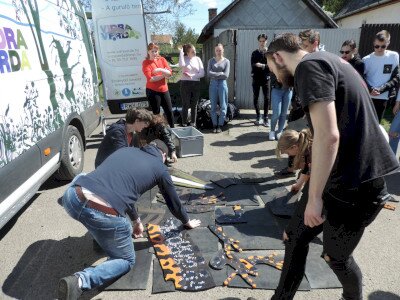                                                                                                                                 