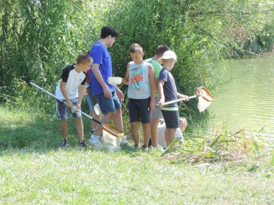                                                                                                                                 