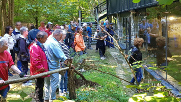 Earth Day Walk in the Miocene Prehistoric World at Ipolytarnoc Geosite
