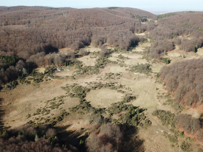 DJI_0005