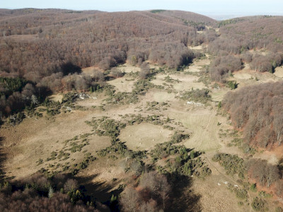 DJI_0005