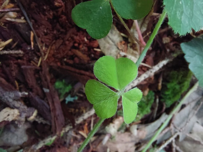 20240615_135852_1920