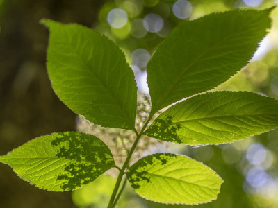 448306286_880542424116398_4762055673574914826_n_1920