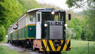 Ehető Erdő Szeleta Szerelvény gasztroexpressz