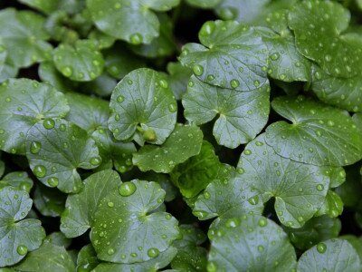 448273574_880542517449722_8618192502038359854_n_1920