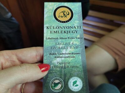 20240615_131922_1080