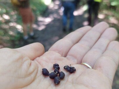 20240615_145414_1080