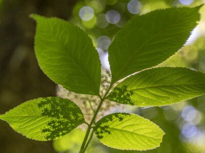 448306286_880542424116398_4762055673574914826_n_1920