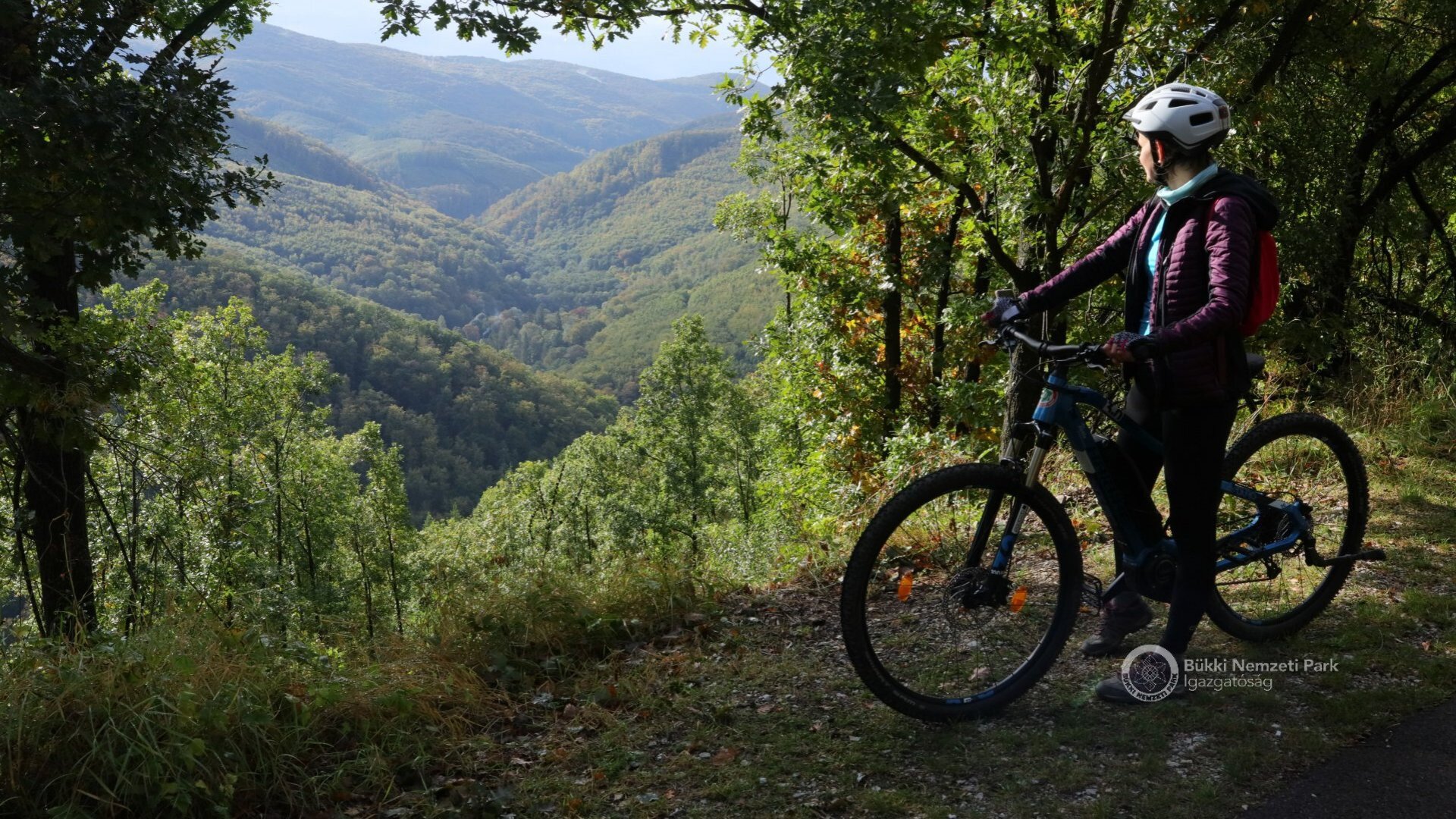 egyetlen túra taunus