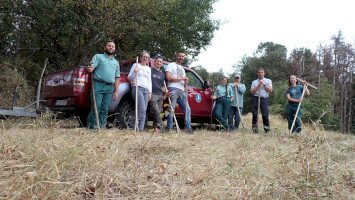 Élőhelykezelés a hatvani Bosch csapatával karöltve