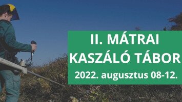 Élőhelykezelési tábor a Mátrában