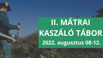 Élőhelykezelési tábor a Mátrában