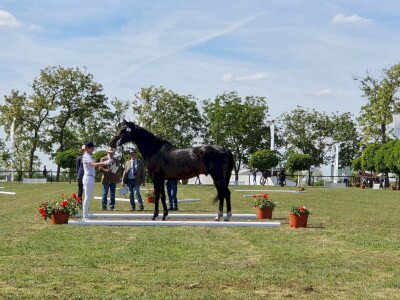20260514_152413