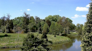 Erdőtelki Arborétum Természetvédelmi Terület 