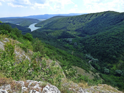 P1060065