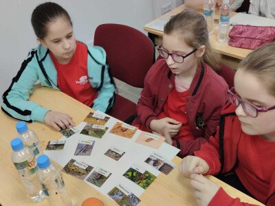IMG_20250403_105932