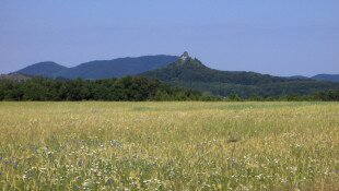 "Északi tájakon" címmel természetismereti vetélkedőt hirdetünk