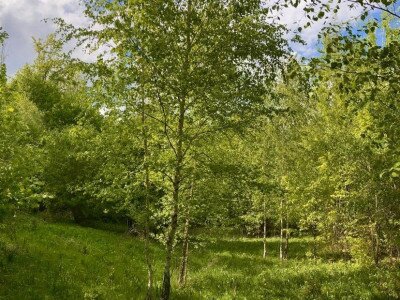 Budai Roxana_240427_6