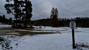 Évindító madárgyűrűzés Jávorkúton