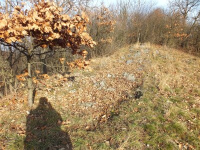 Nekézseny Harka-tető_Nekézsenyi-bánya, árok