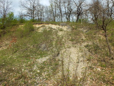Dédestapolcsány-Nagy-hegy_Nagy-hegy2